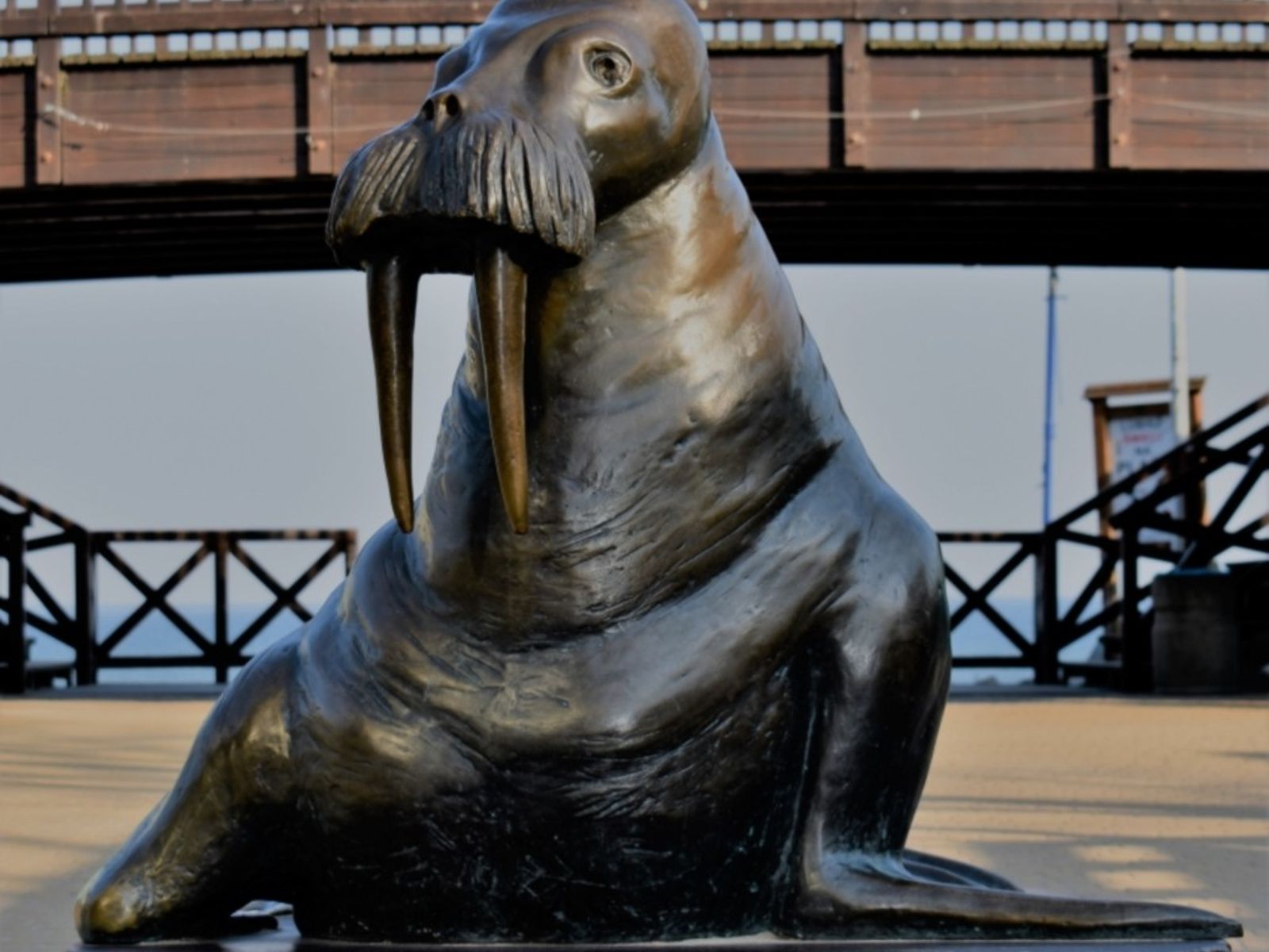 Pomnik Morsa w Mielnie — symbol Zlotów Morsów — popularna atrakcja nadmorska